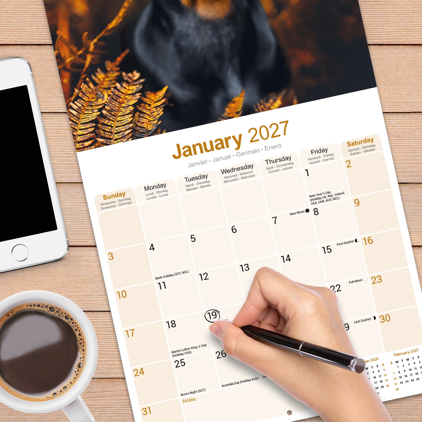 Dobermann Wall Calendar 2027