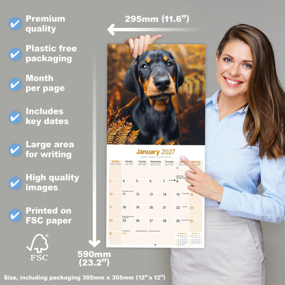 Dobermann Wall Calendar 2027