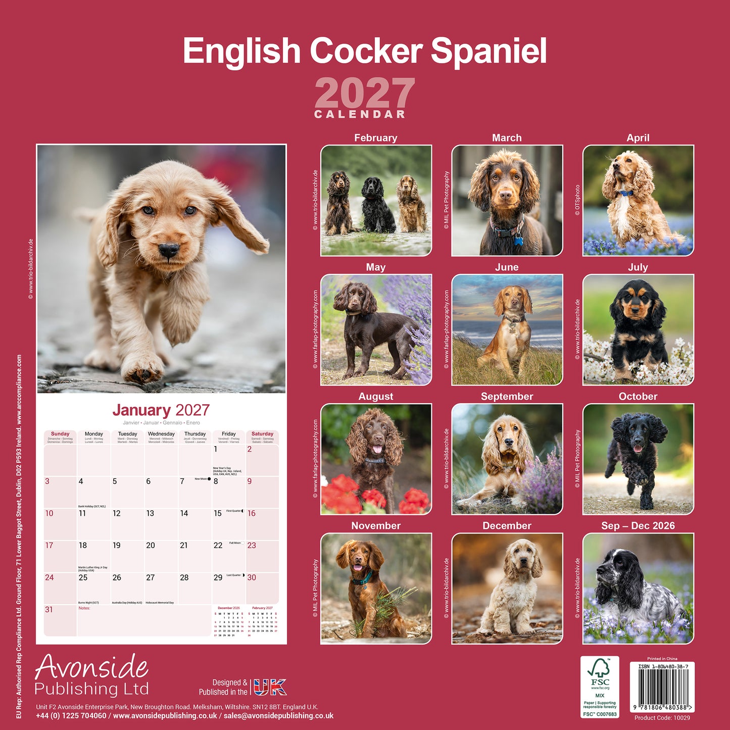 English Cocker Spaniel Wall Calendar 2027