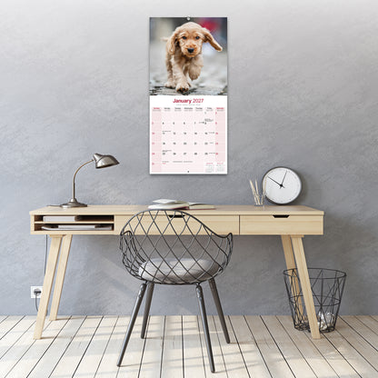 English Cocker Spaniel Wall Calendar 2027