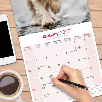 English Cocker Spaniel Wall Calendar 2027