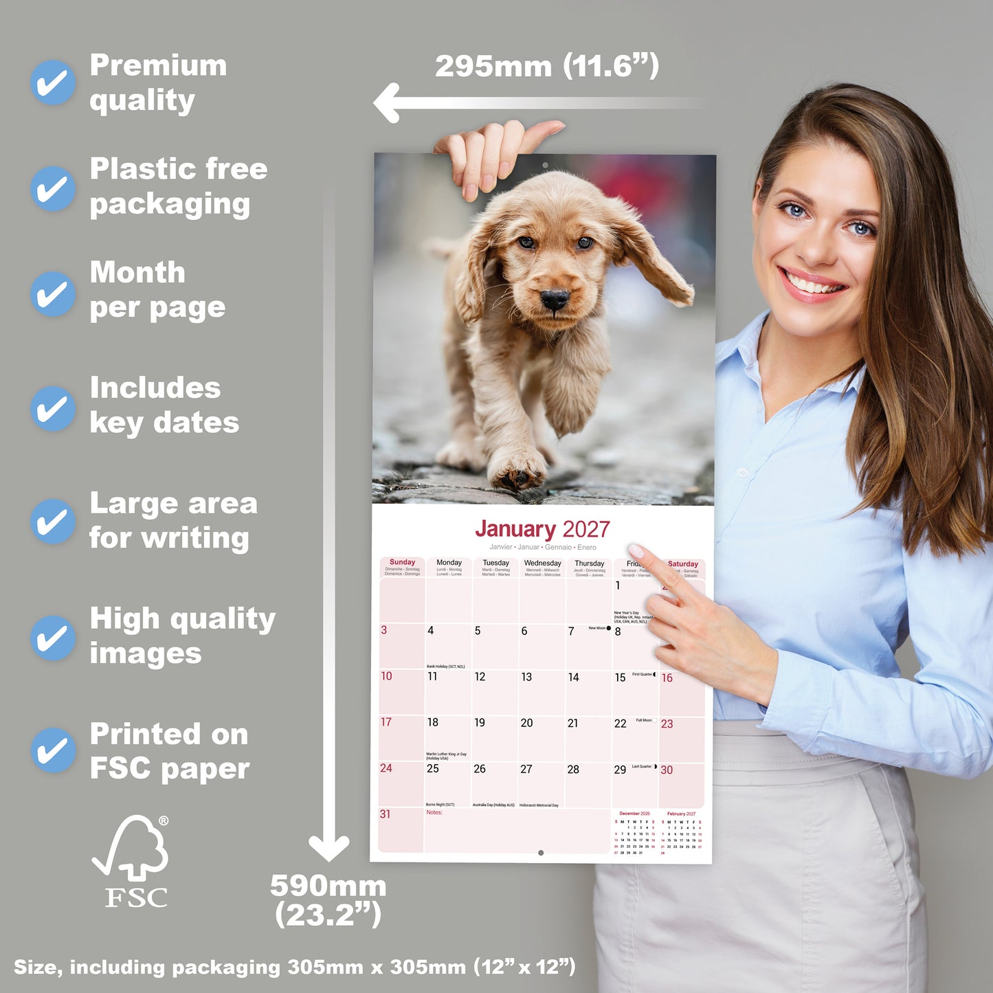English Cocker Spaniel Wall Calendar 2027
