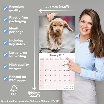 English Cocker Spaniel Wall Calendar 2027