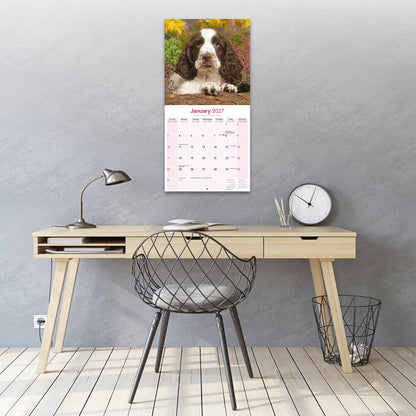 English Springer Spaniel Wall Calendar 2027