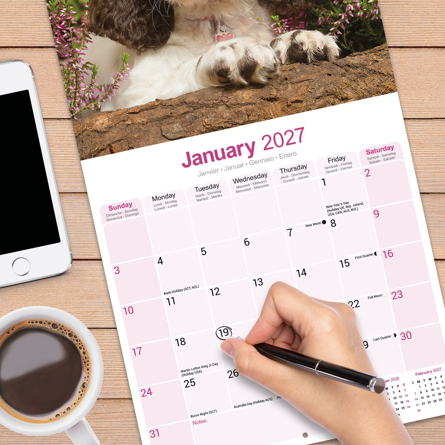 English Springer Spaniel Wall Calendar 2027