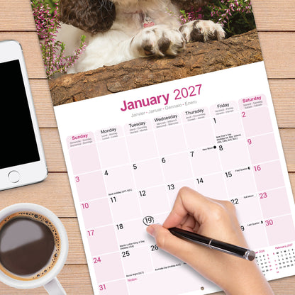 English Springer Spaniel Wall Calendar 2027