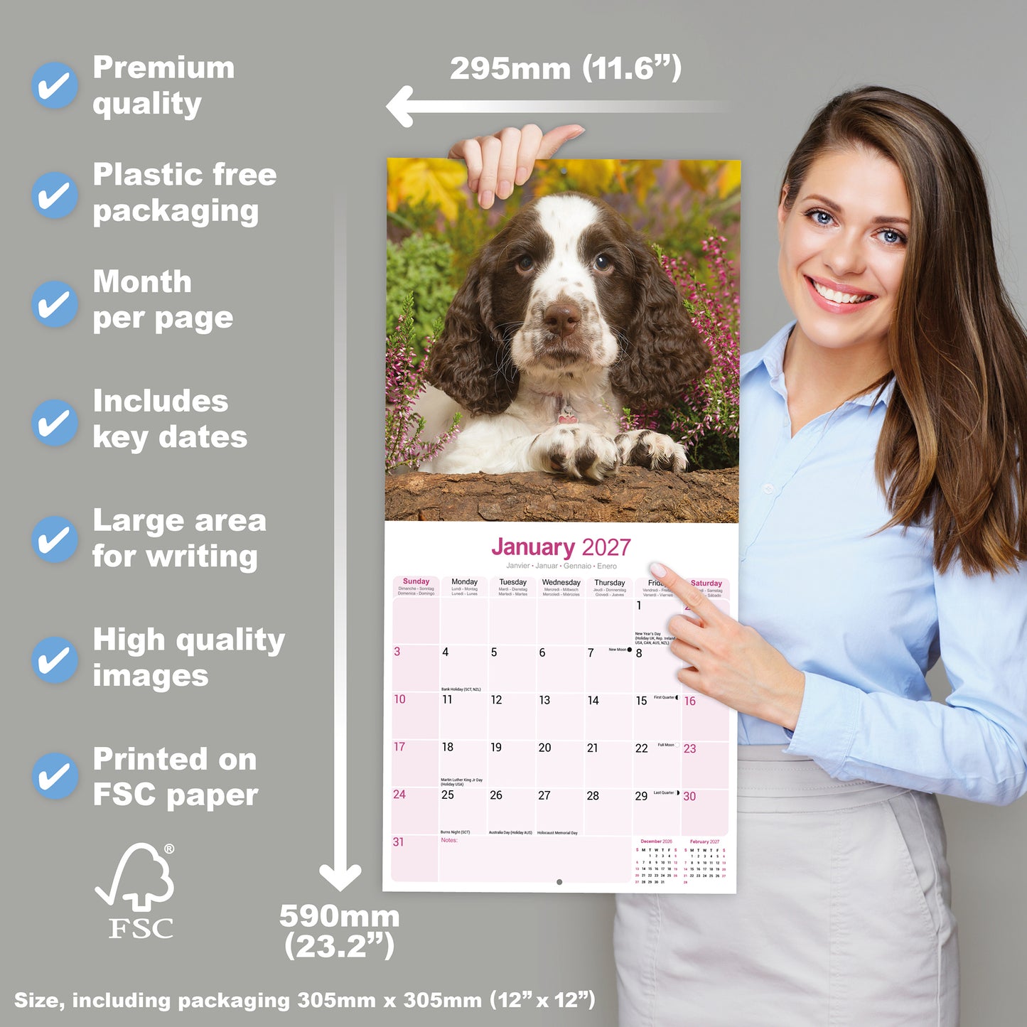 English Springer Spaniel Wall Calendar 2027
