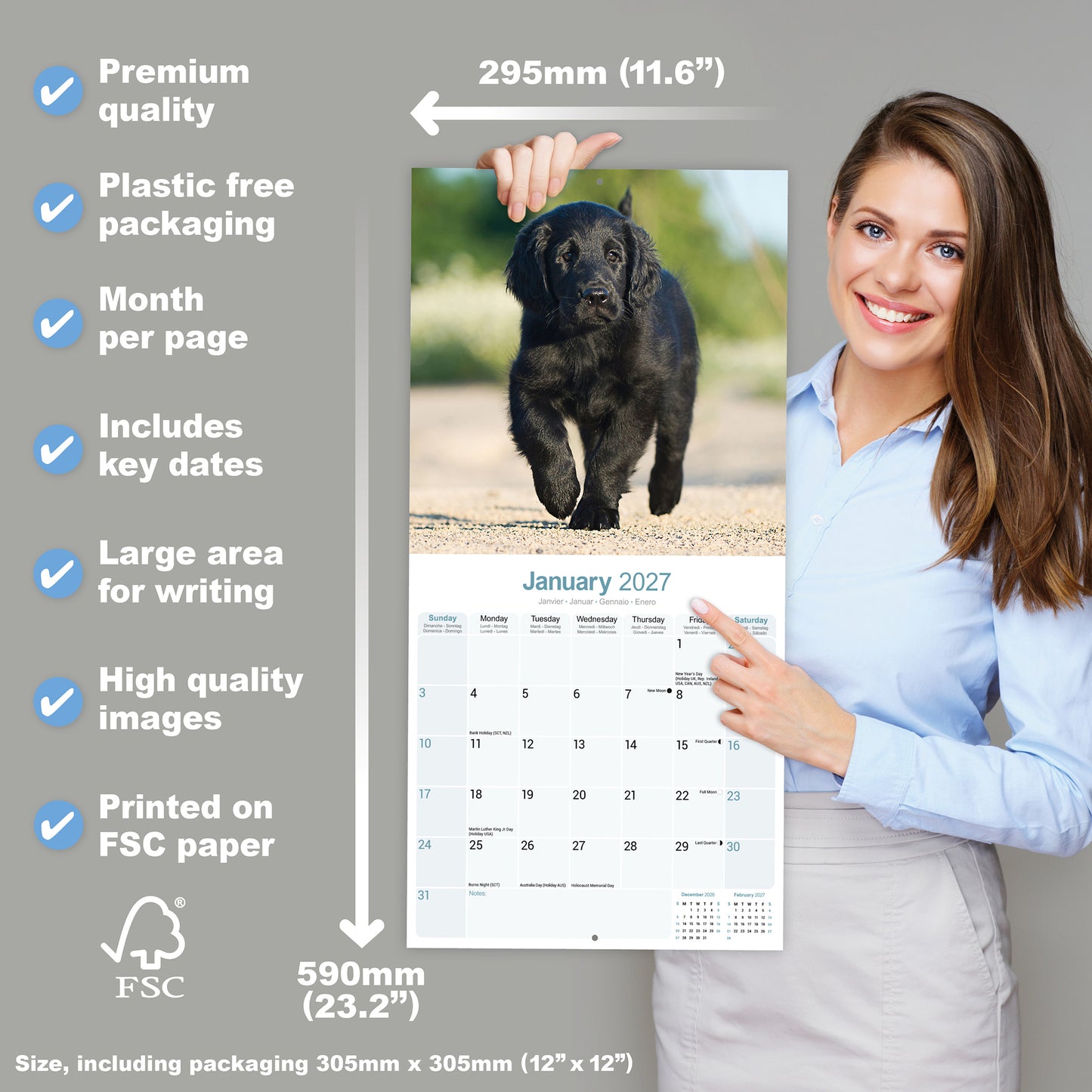 Flat Coated Retriever Wall Calendar 2027