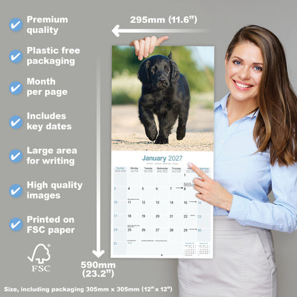 Flat Coated Retriever Wall Calendar 2027