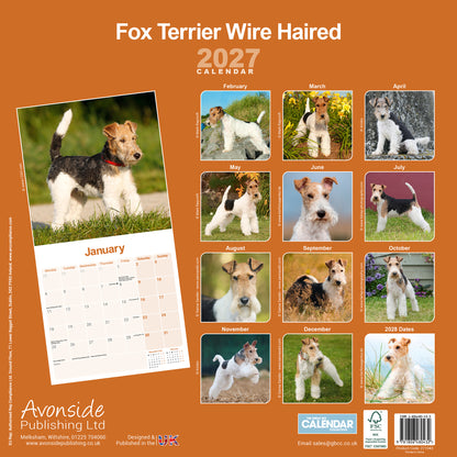 Fox Terrier, Wirehaired Wall Calendar 2027