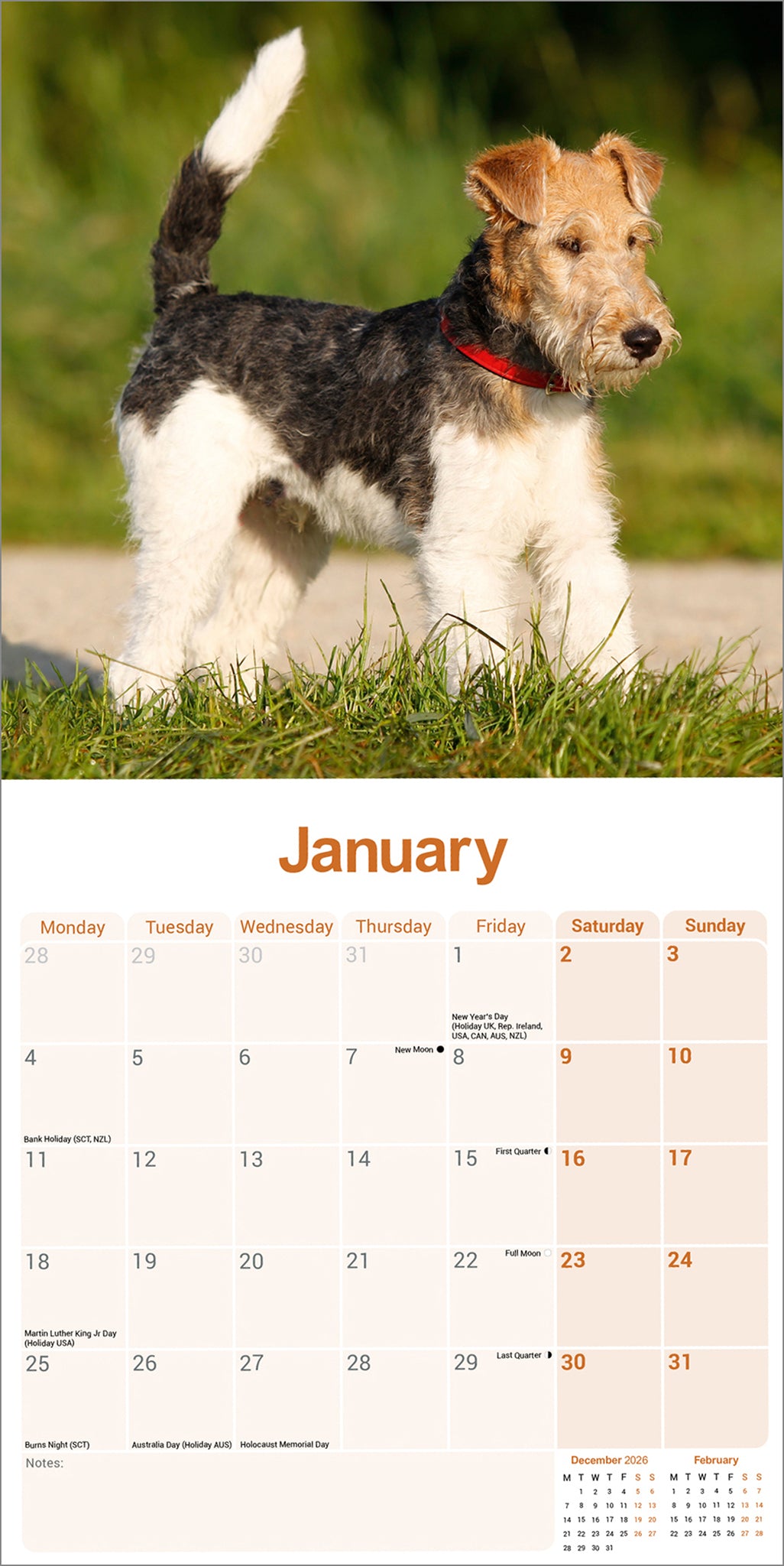 Fox Terrier, Wirehaired Wall Calendar 2027