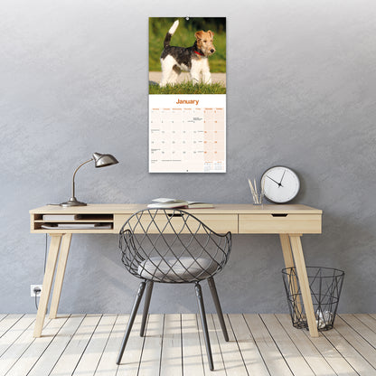 Fox Terrier, Wirehaired Wall Calendar 2027