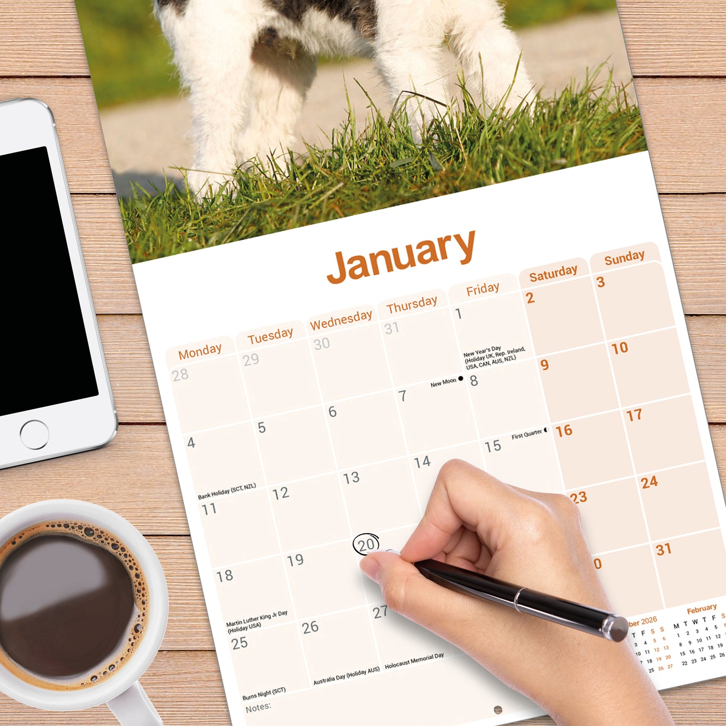 Fox Terrier, Wirehaired Wall Calendar 2027
