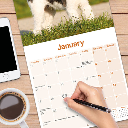 Fox Terrier, Wirehaired Wall Calendar 2027