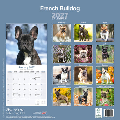 French Bulldog Wall Calendar 2027