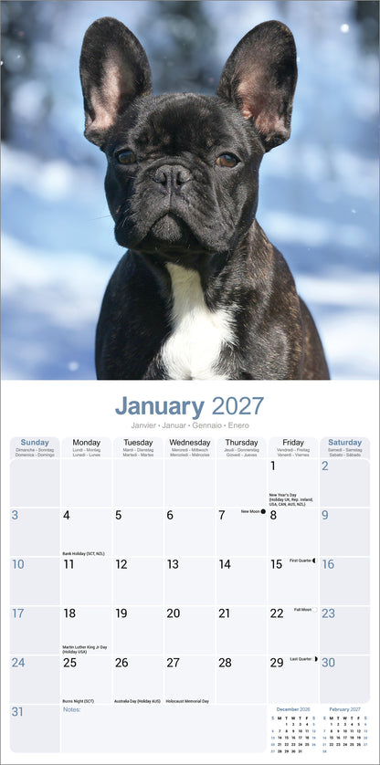 French Bulldog Wall Calendar 2027