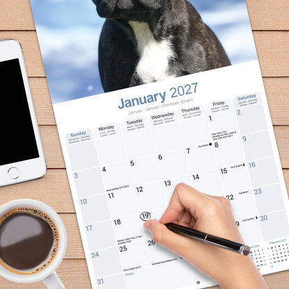 French Bulldog Wall Calendar 2027