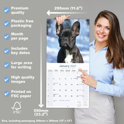 French Bulldog Wall Calendar 2027