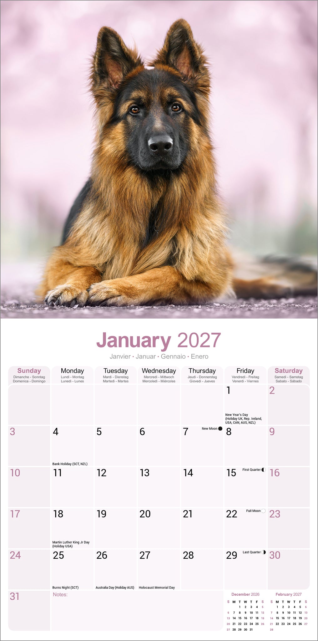 German Shepherds Wall Calendar 2027