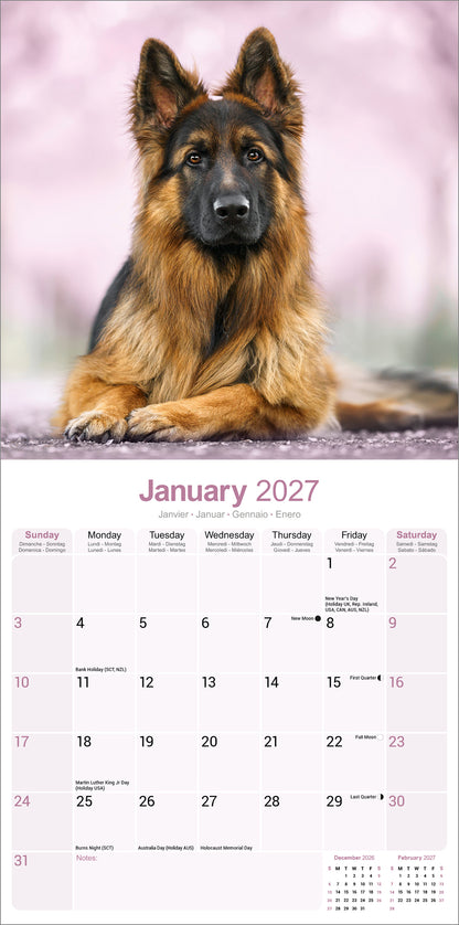 German Shepherds Wall Calendar 2027