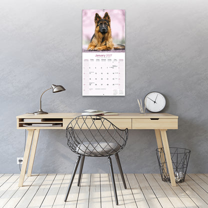 German Shepherds Wall Calendar 2027