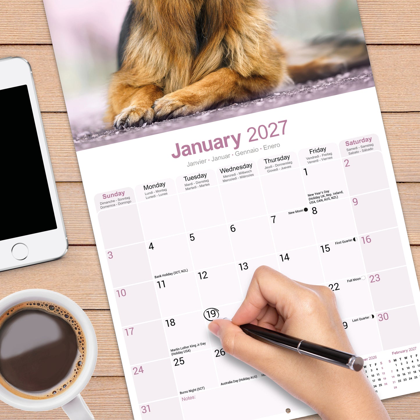 German Shepherds Wall Calendar 2027