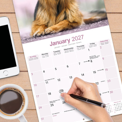 German Shepherds Wall Calendar 2027