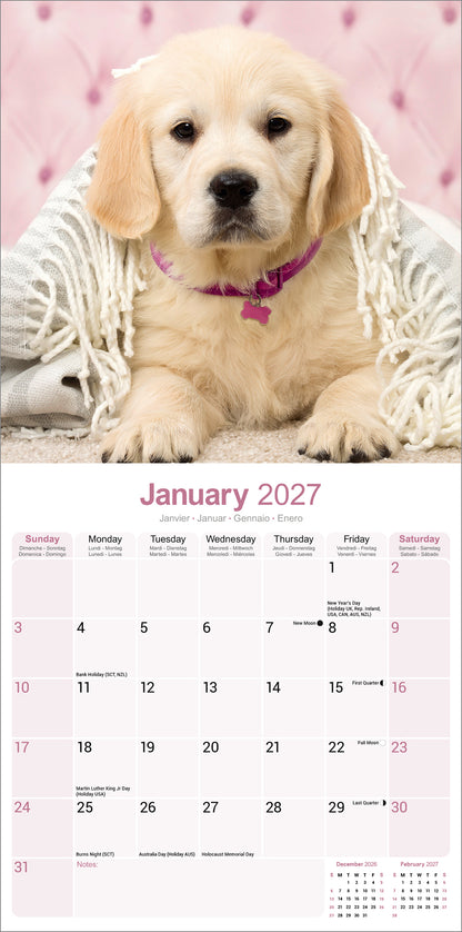 Golden Retriever Wall Calendar 2027