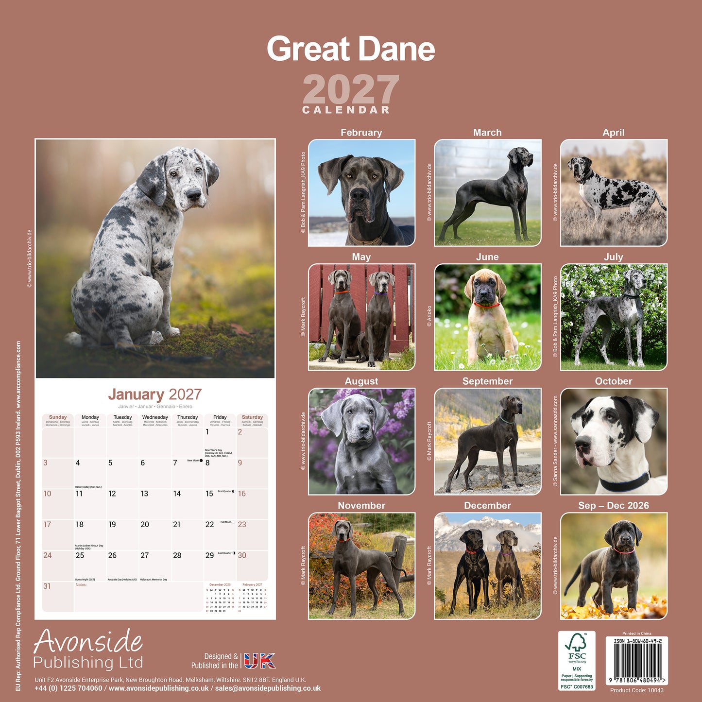 Great Dane Wall Calendar 2027