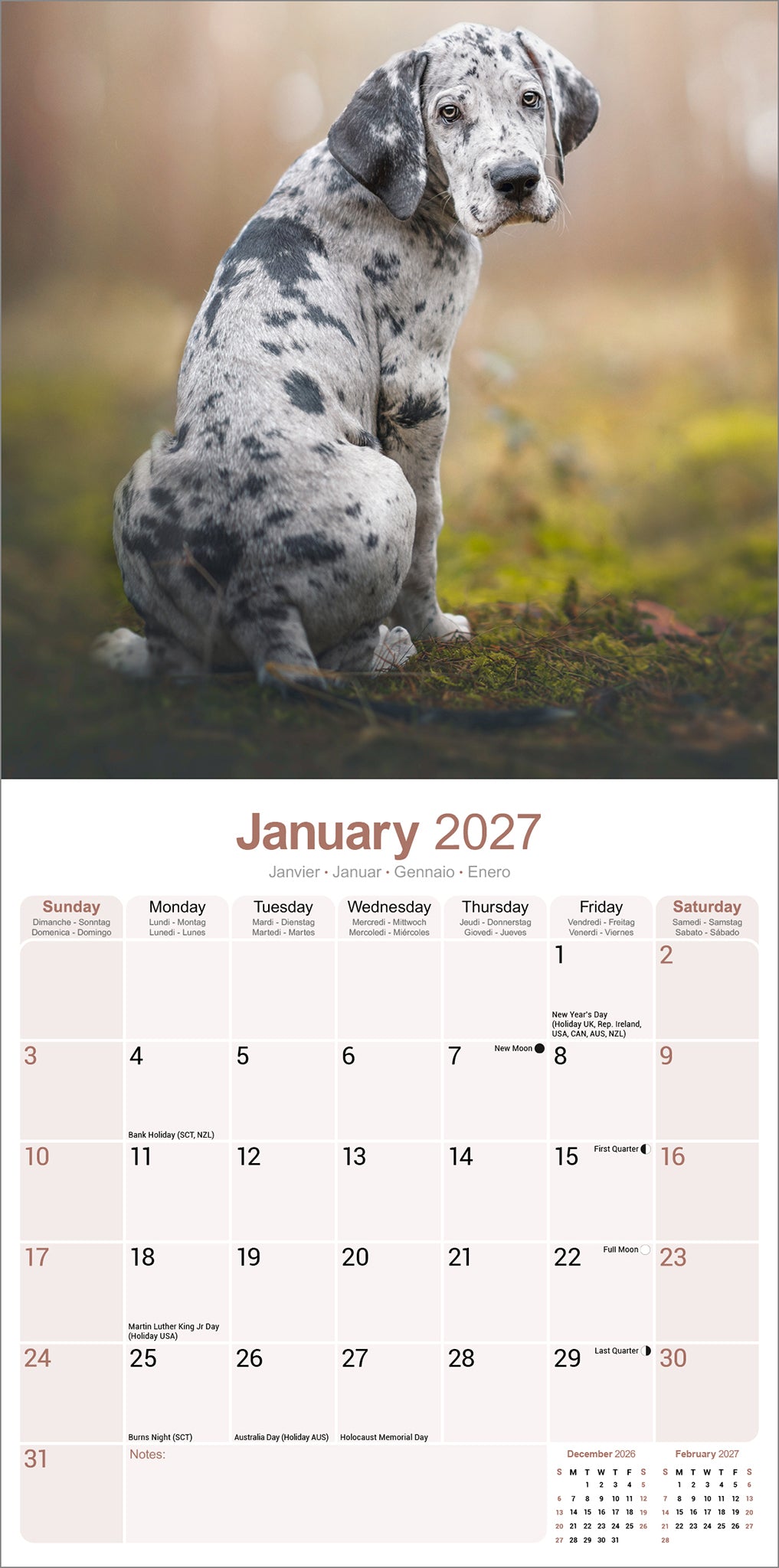 Great Dane Wall Calendar 2027