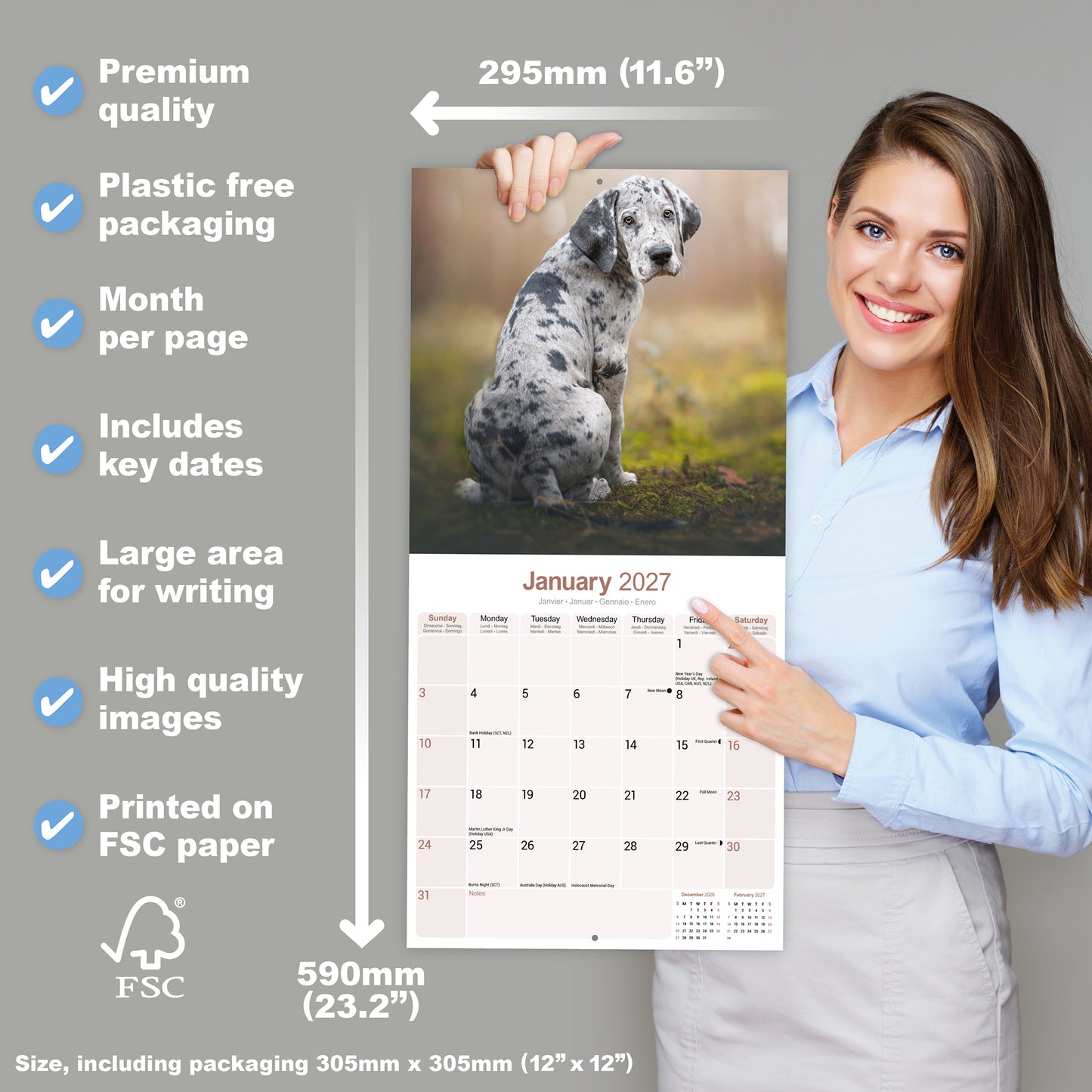 Great Dane Wall Calendar 2027