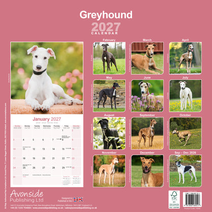 Greyhound Wall Calendar 2027