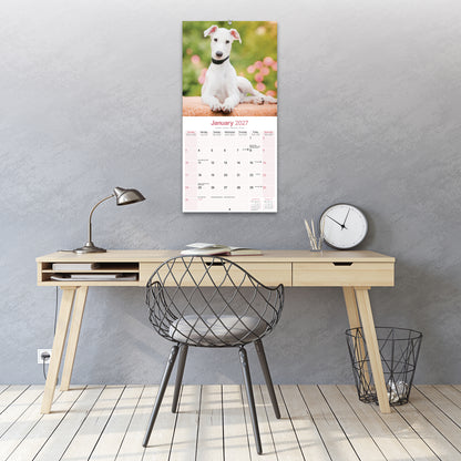 Greyhound Wall Calendar 2027