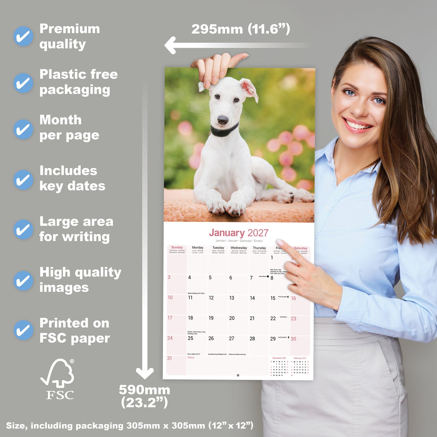 Greyhound Wall Calendar 2027