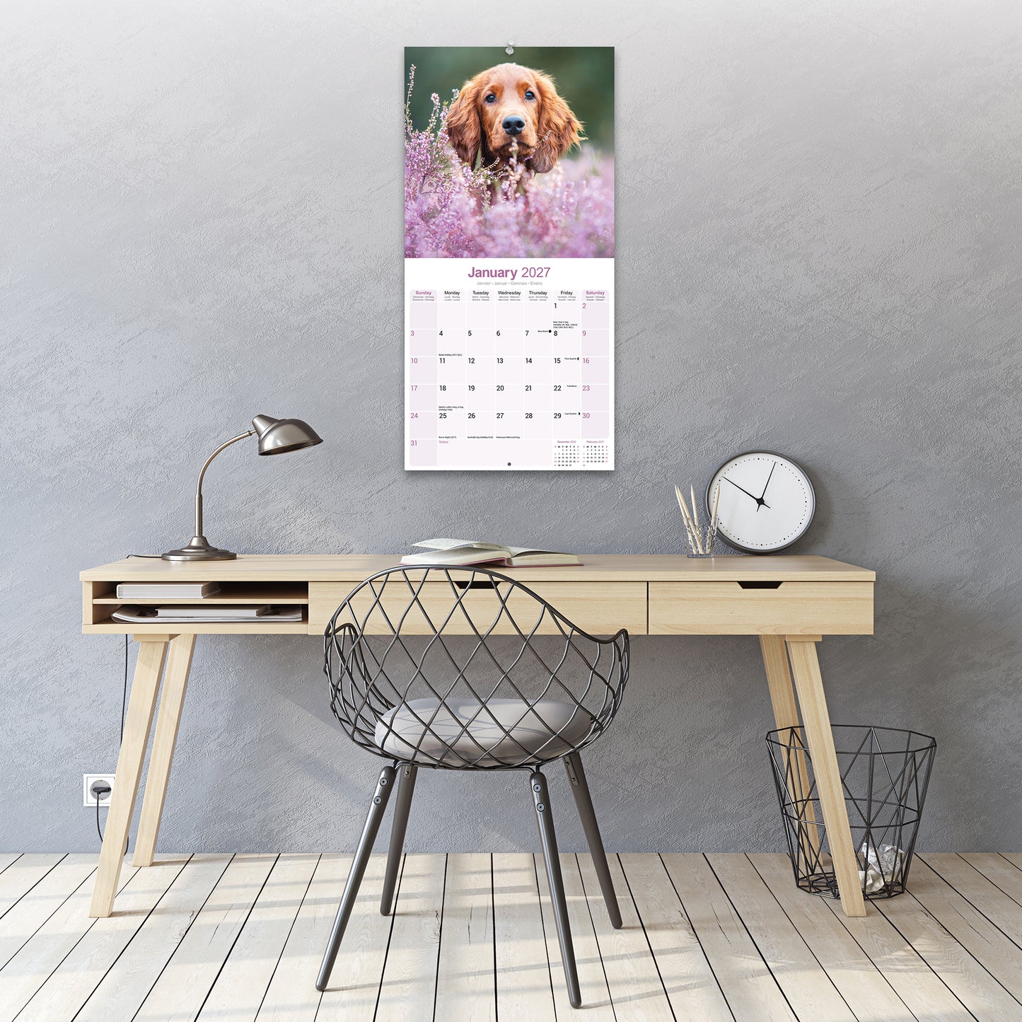 Irish Setter Wall Calendar 2027