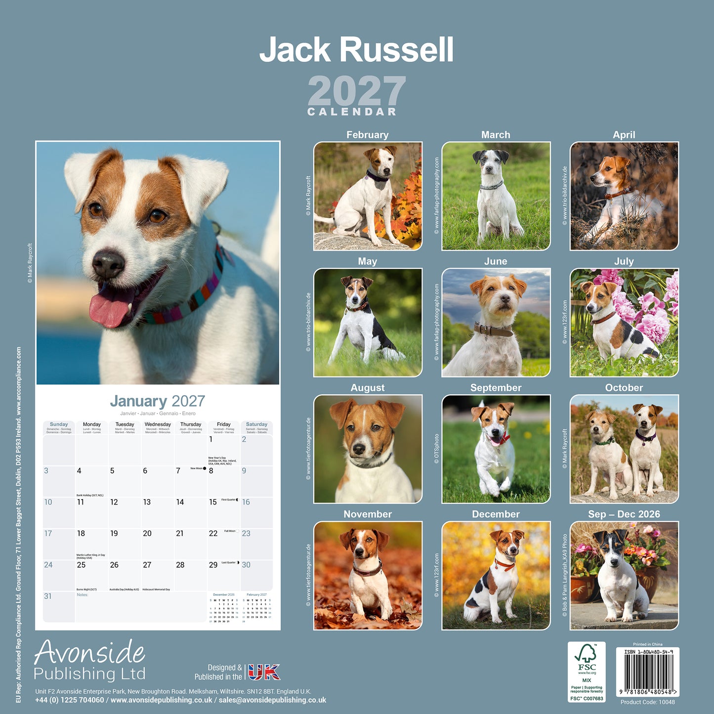 Jack Russell Wall Calendar 2027
