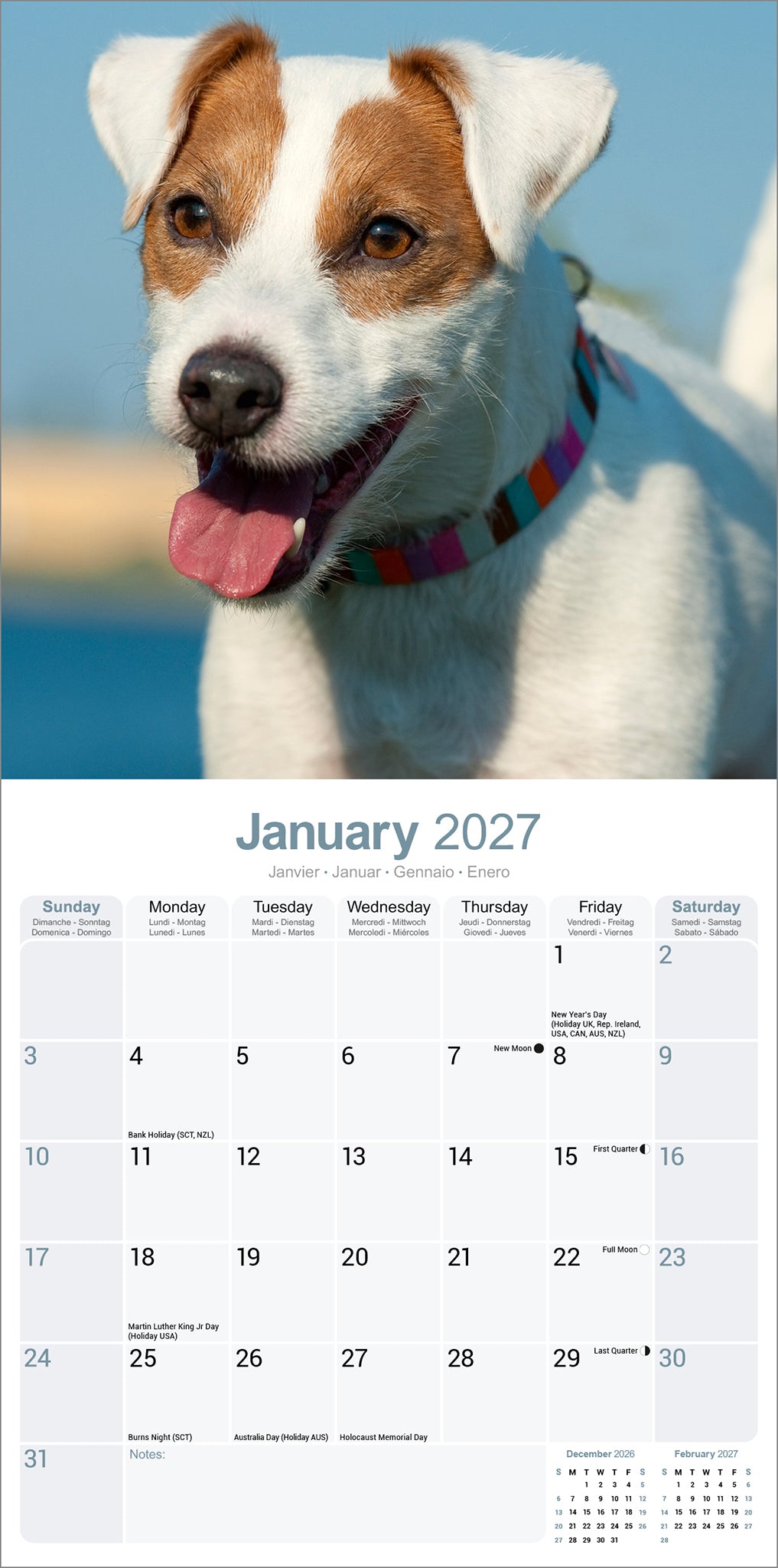 Jack Russell Wall Calendar 2027