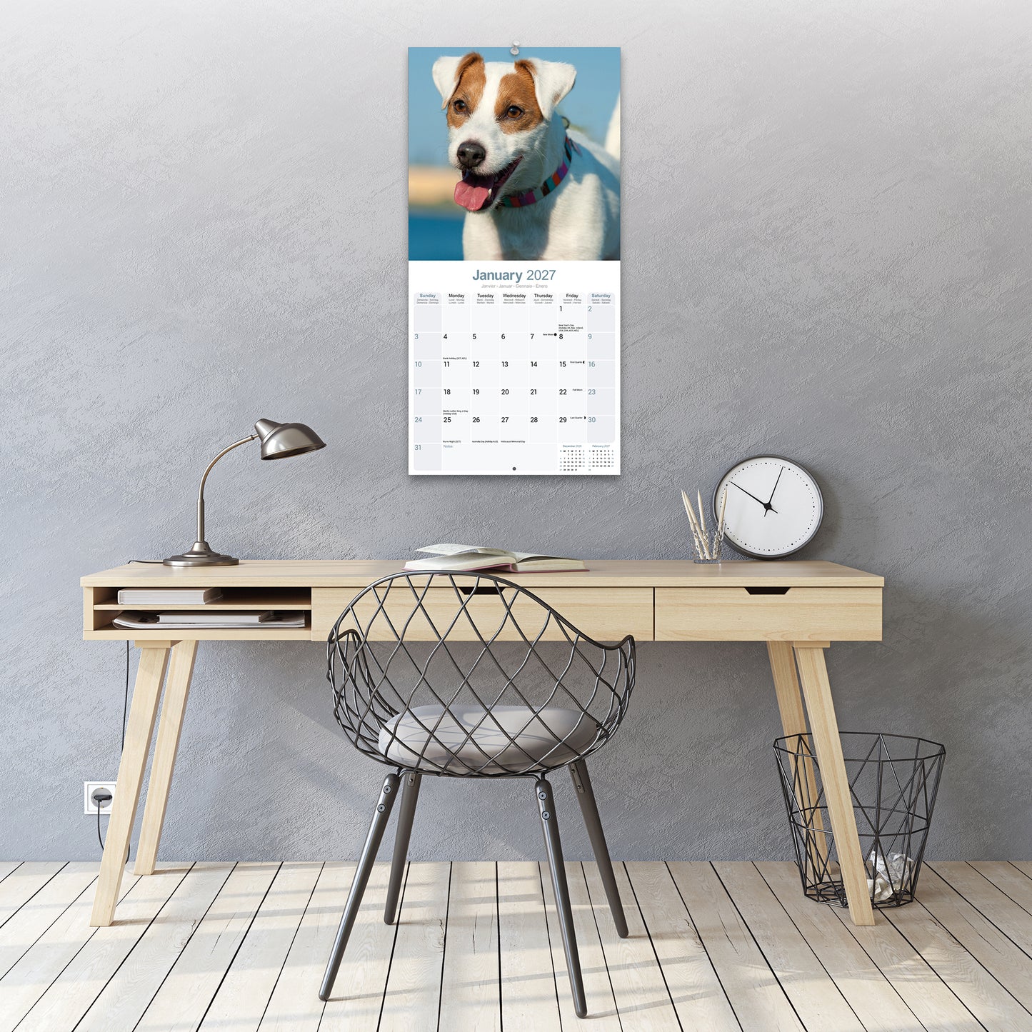 Jack Russell Wall Calendar 2027