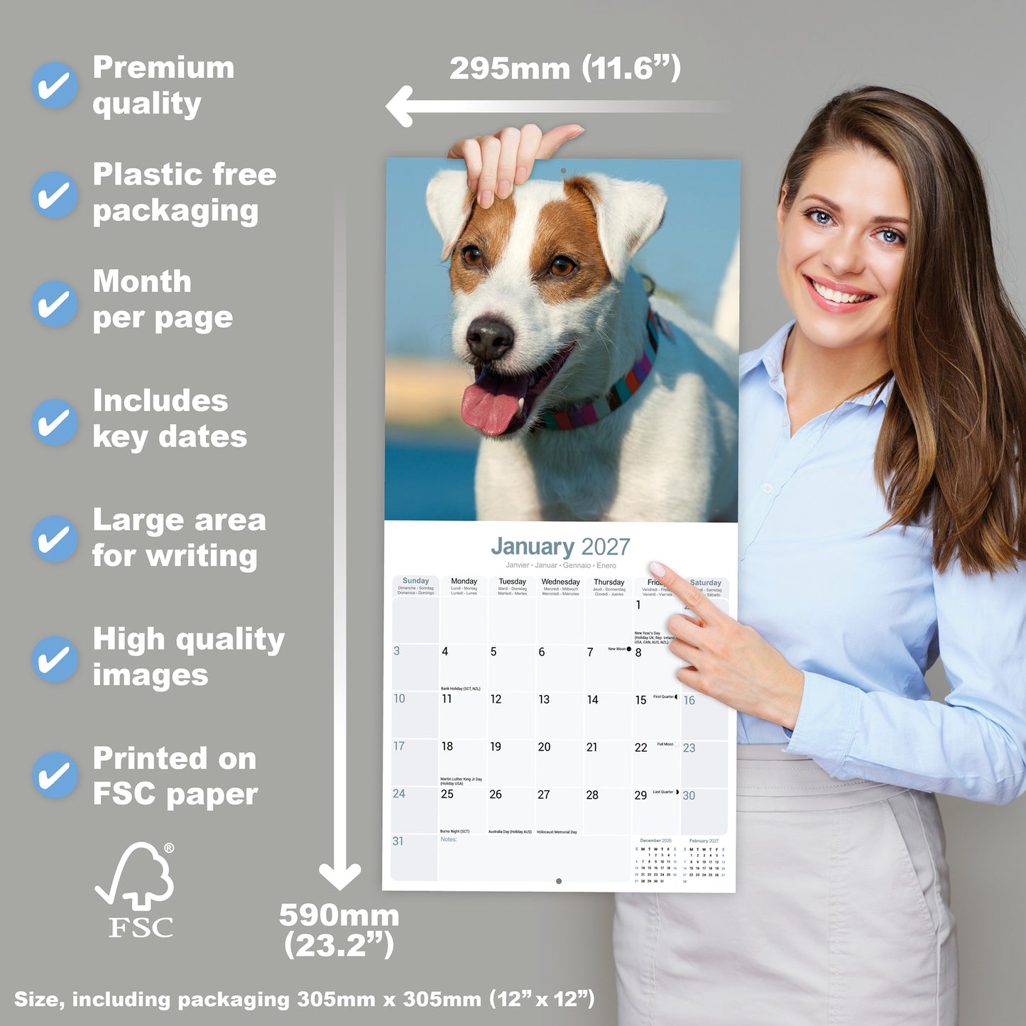 Jack Russell Wall Calendar 2027