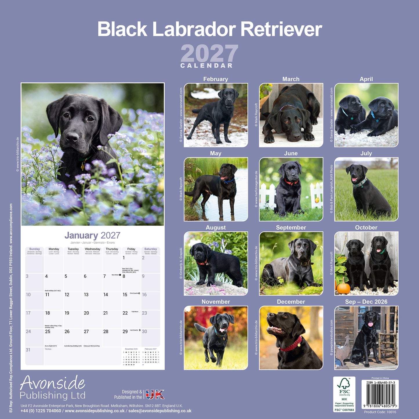 Labrador Retriever Black Wall Calendar 2027