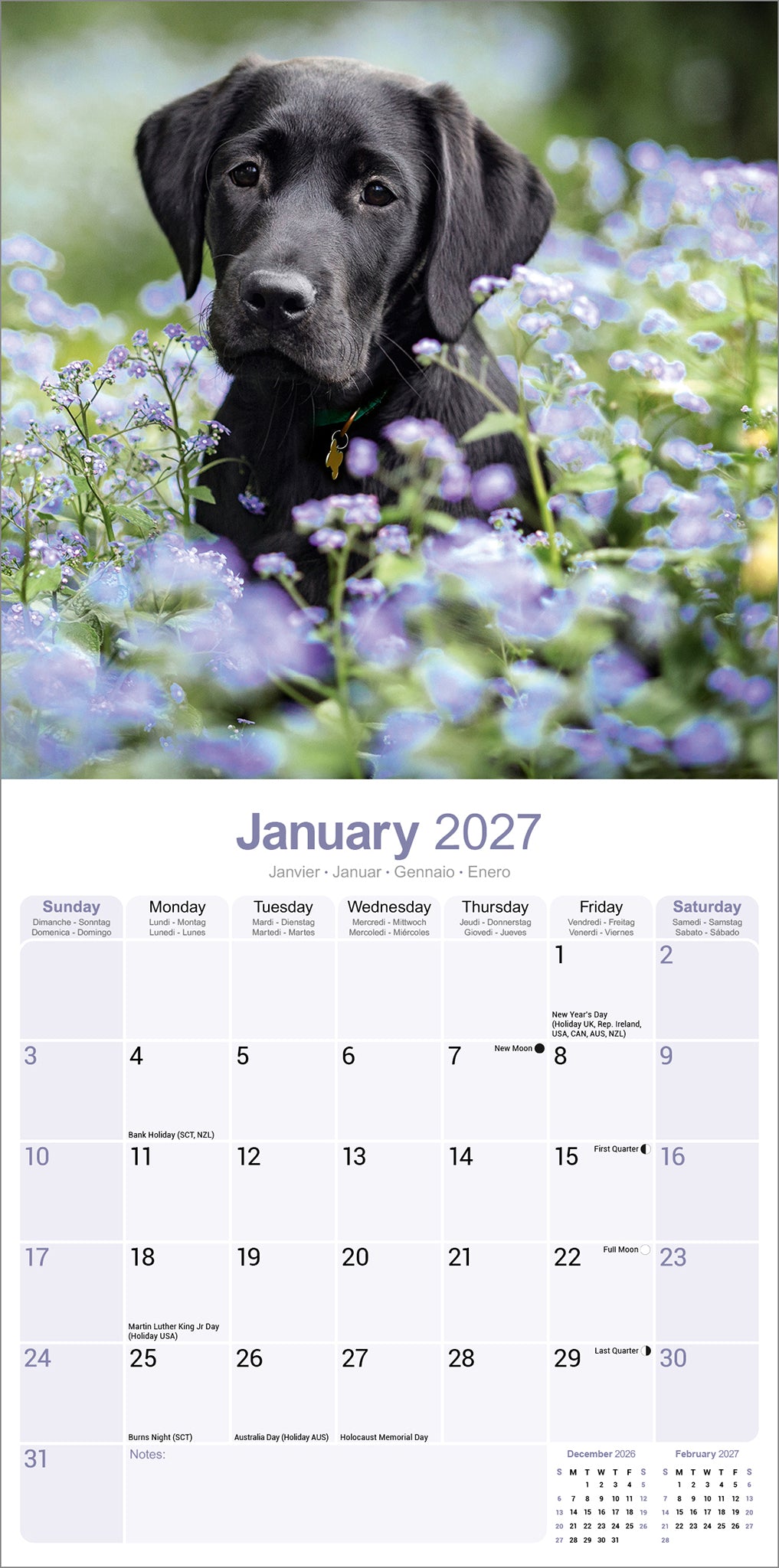 Labrador Retriever Black Wall Calendar 2027
