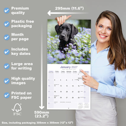 Labrador Retriever Black Wall Calendar 2027