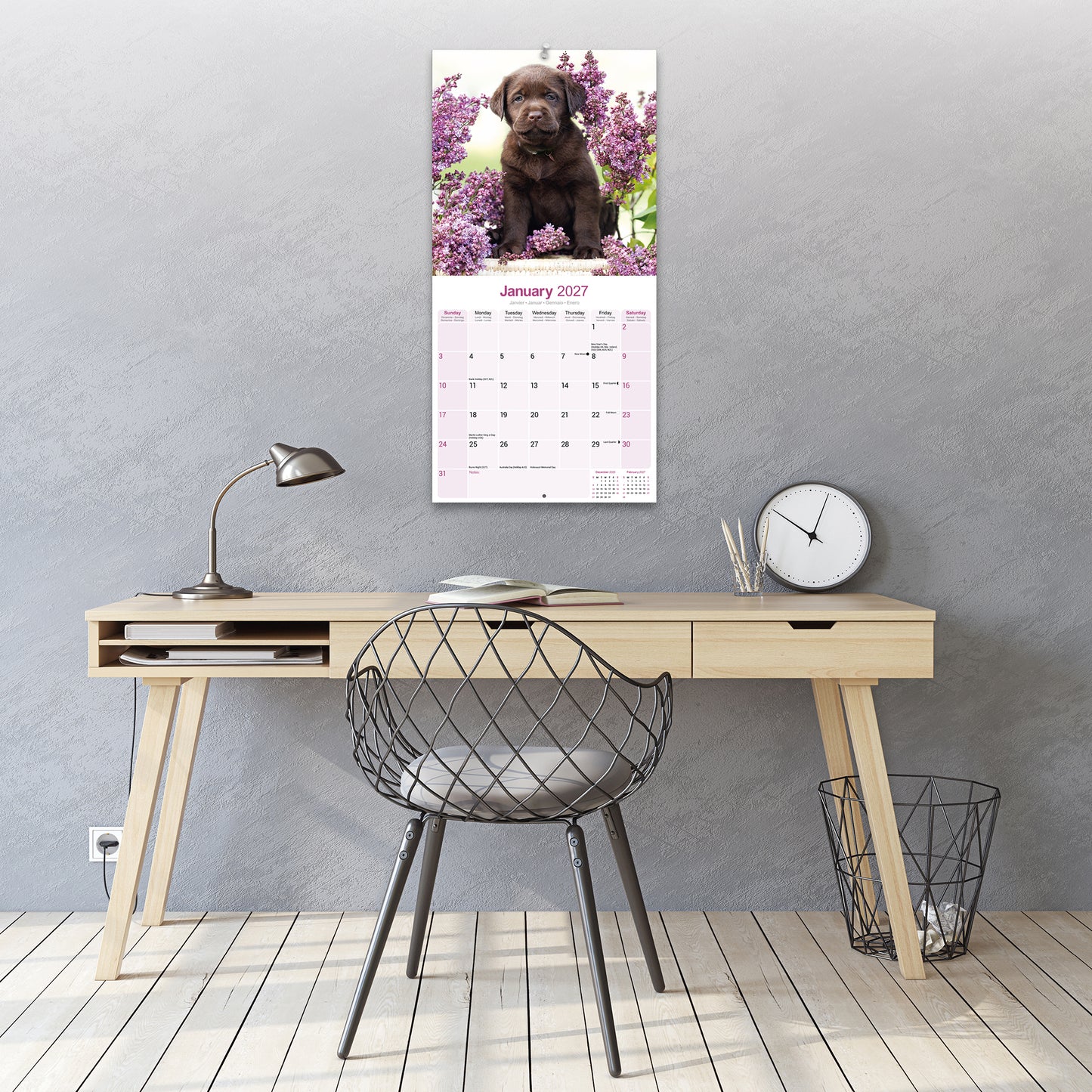 Labrador Retriever Chocolate Wall Calendar 2027