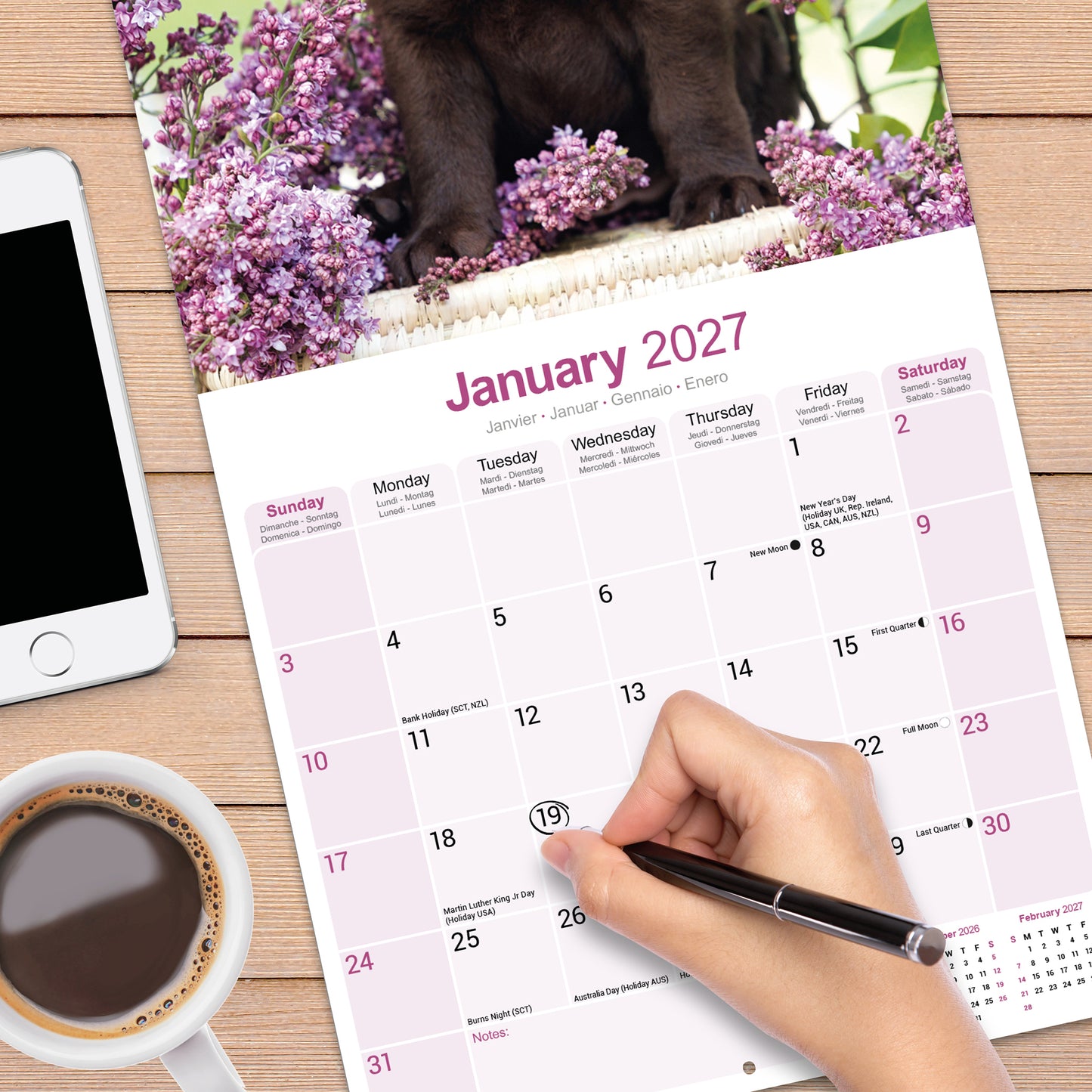 Labrador Retriever Chocolate Wall Calendar 2027