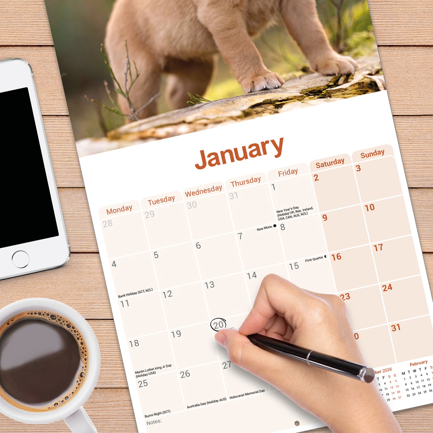 Labrador Retriever Fox Red Wall Calendar 2027