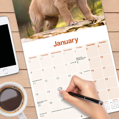 Labrador Retriever Fox Red Wall Calendar 2027