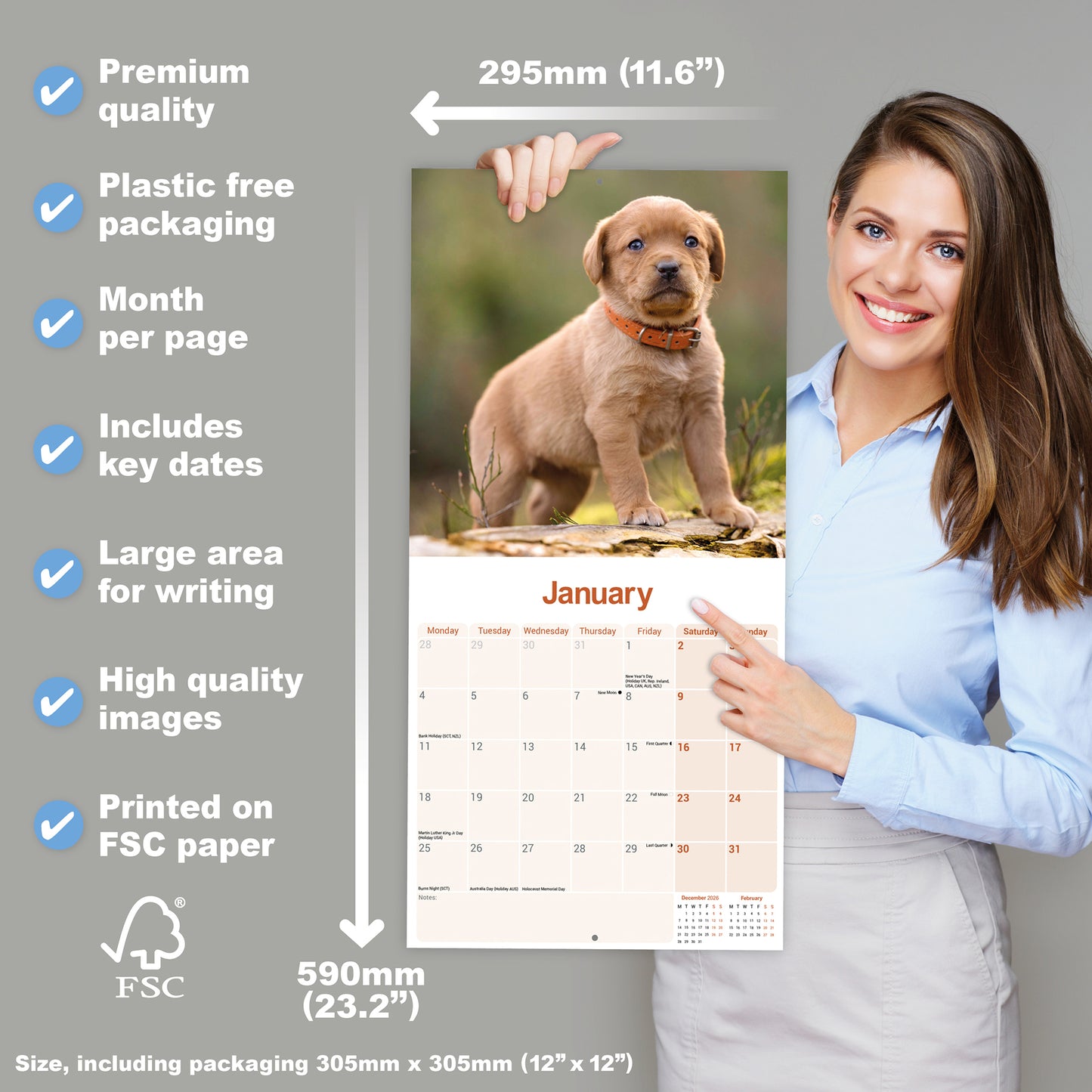 Labrador Retriever Fox Red Wall Calendar 2027