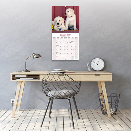 Labrador Retriever Yellow Wall Calendar 2027