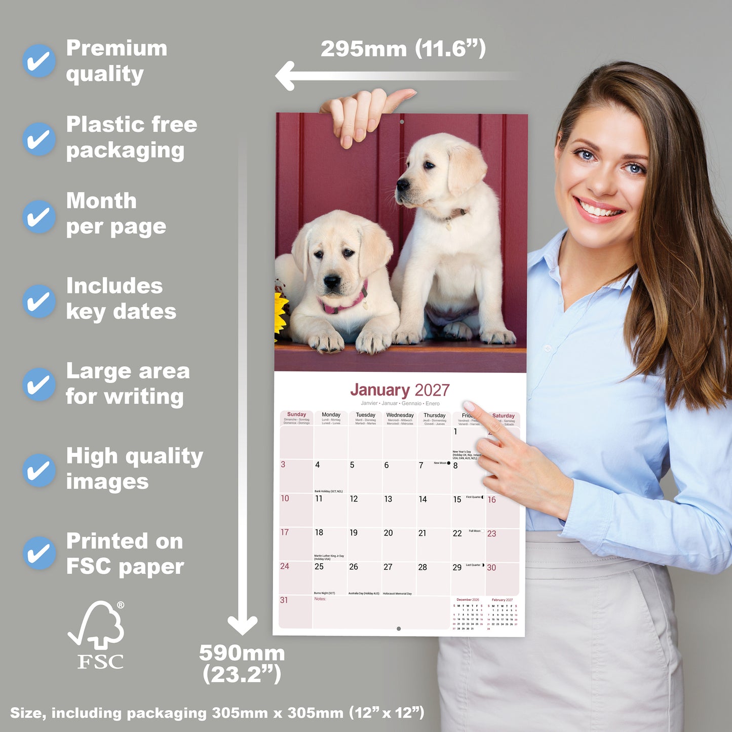 Labrador Retriever Yellow Wall Calendar 2027