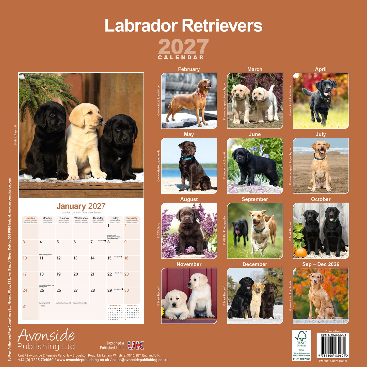 Labrador Retrievers Wall Calendar 2027